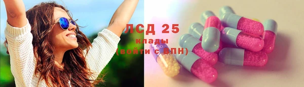 PSILOCYBIN Краснослободск