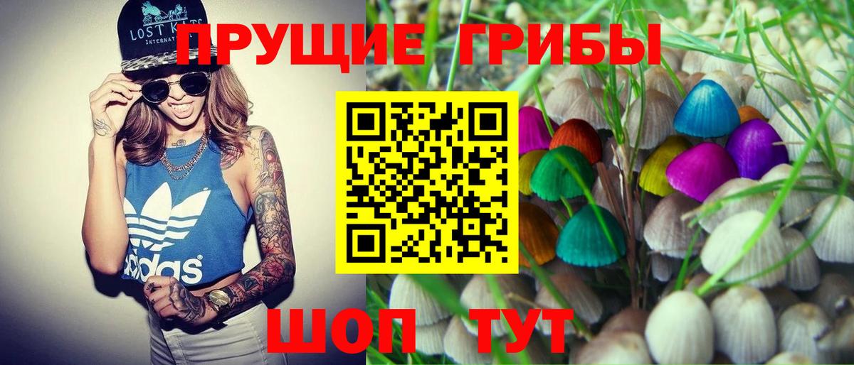 Мариинск  Галлюциногенные грибы MAGIC MUSHROOMS  Вход с VPN  купить наркотик  Галлюциногенные грибы мухоморы 